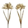 Home Decors | Katherine Collection Katherine'S Collection Royal Amaryllis Stem 2 Assorted Kc J 11-611084