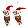 Christmas Tree | Goodwill Jingle Owl Ornament 2 Assorted B 97467